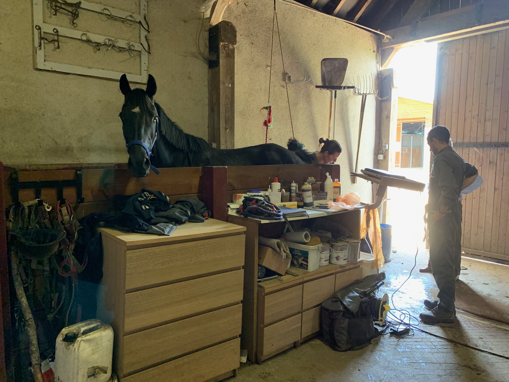 IMG-4612
